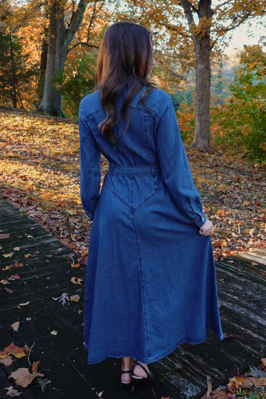 Carolina Denim Dress