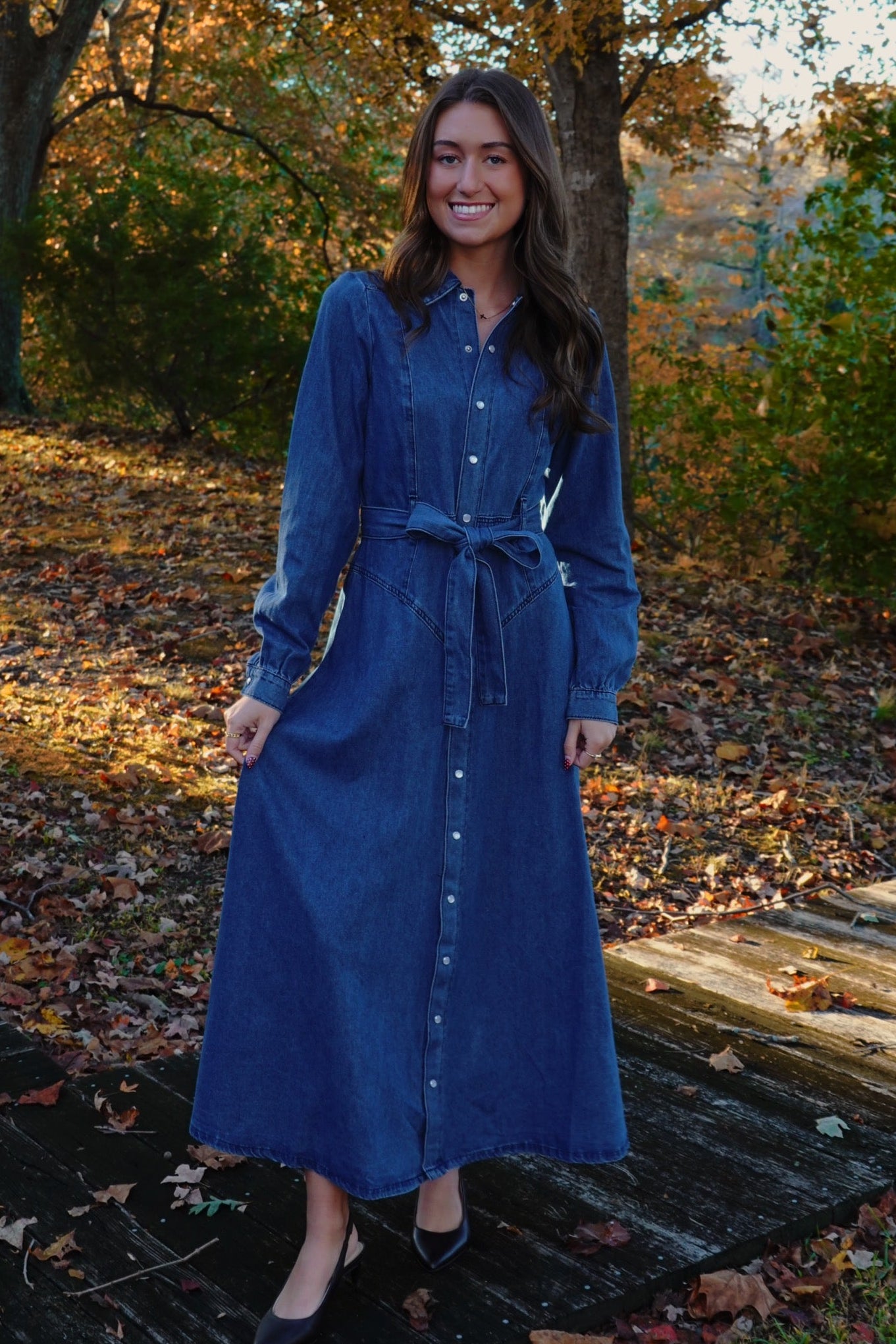Carolina Denim Dress